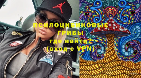 стафф Алзамай