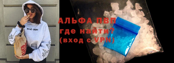 стафф Алзамай
