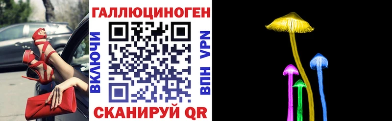 Псилоцибиновые грибы Psilocybine cubensis  Дегтярск 